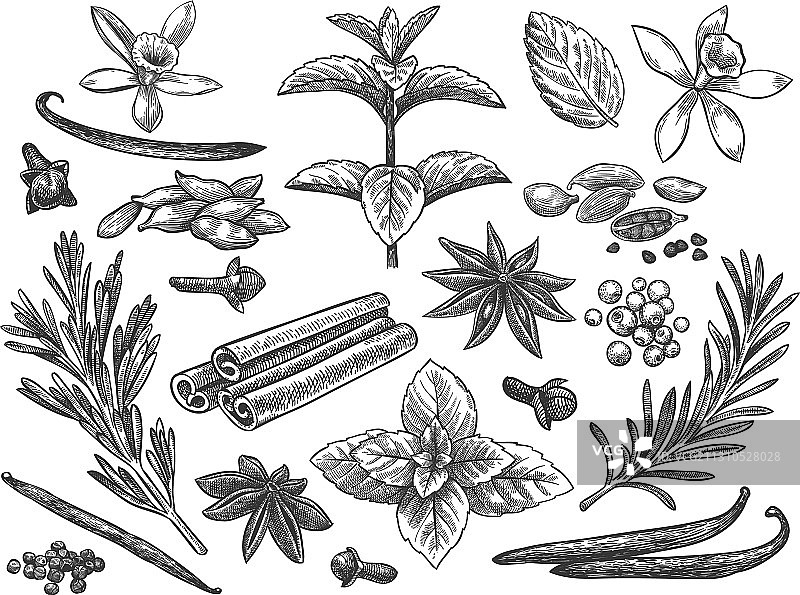 小豆蔻香草花豆雕刻香料图片素材