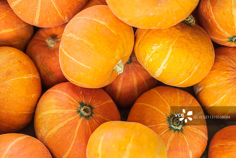 堆放在一起的南瓜图片素材