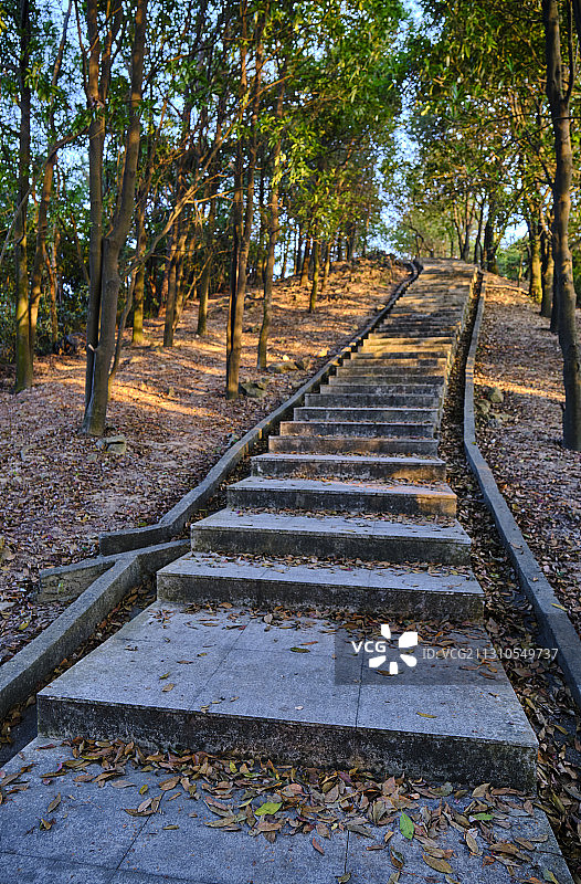 中国广州火炉山森林公园登山石阶道图片素材