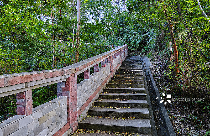 中国广州火炉山森林公园登山石阶道图片素材