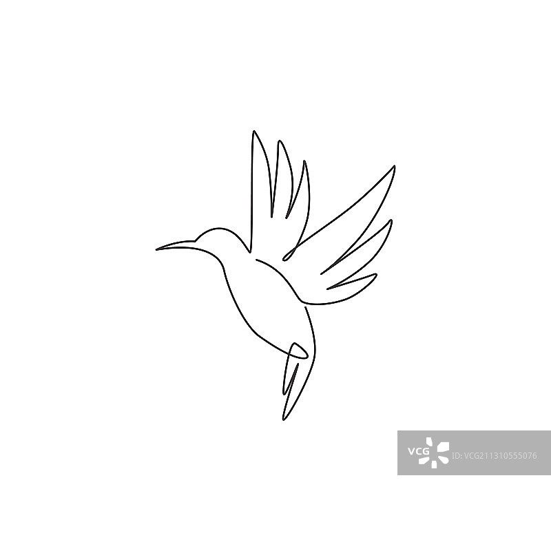 一笔画可爱蜂鸟图片素材