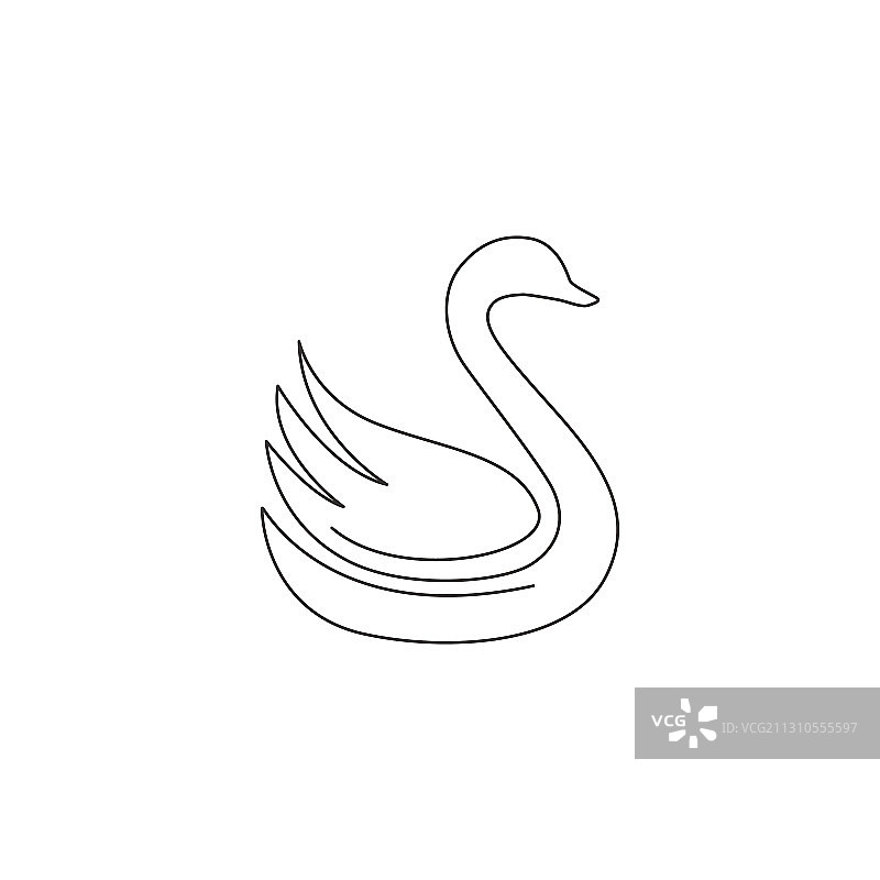 美丽天鹅连续线条画图片素材