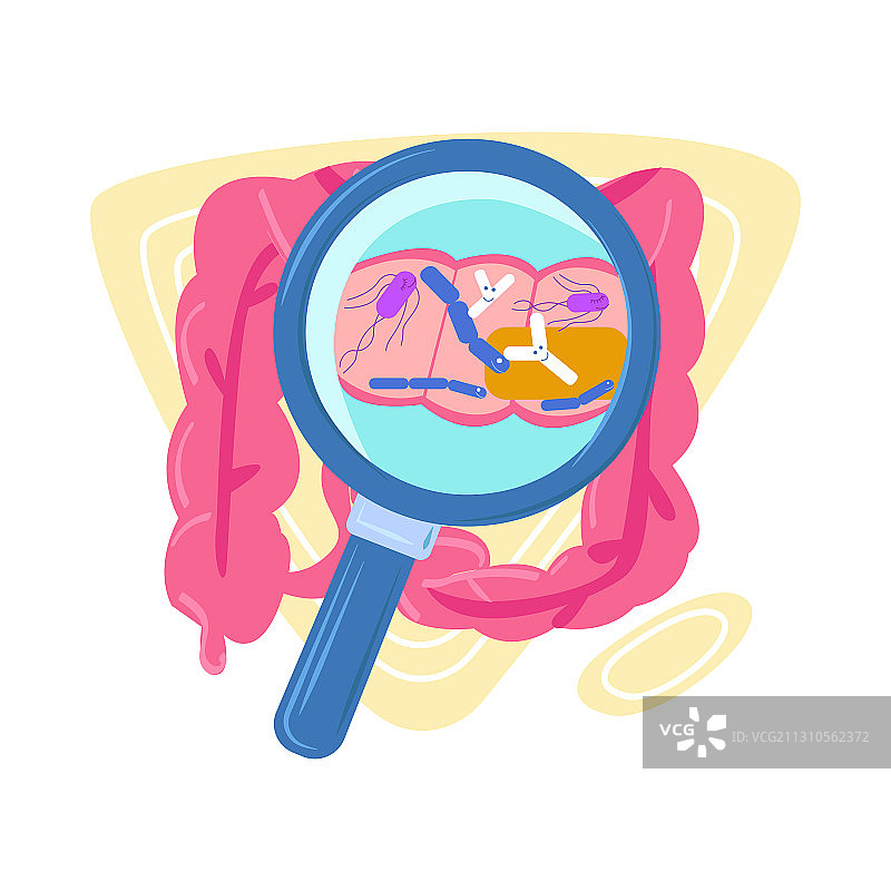 扁平风放大镜下的抽象肠道图片素材