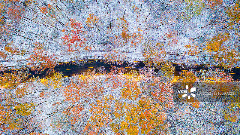2020 南京初雪图片素材
