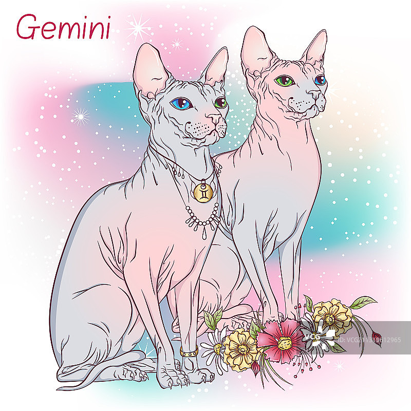 猫 生肖 双子座 彩色宝石图片素材