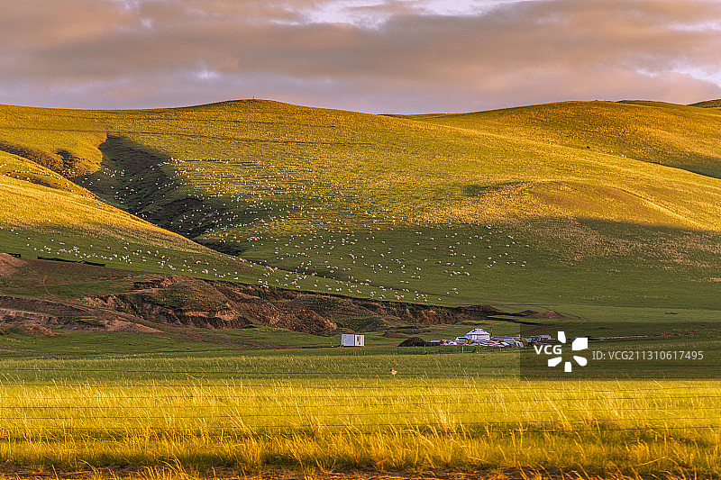内蒙古锡林郭勒东乌珠穆沁旗白音华镇草原牧民夏季草场图片素材