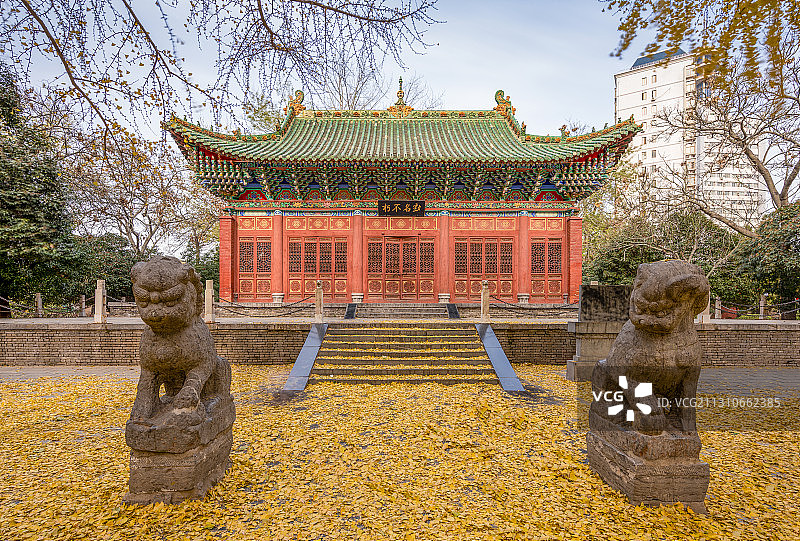 中国河南郑州人民公园胡公祠秋天银杏图片素材