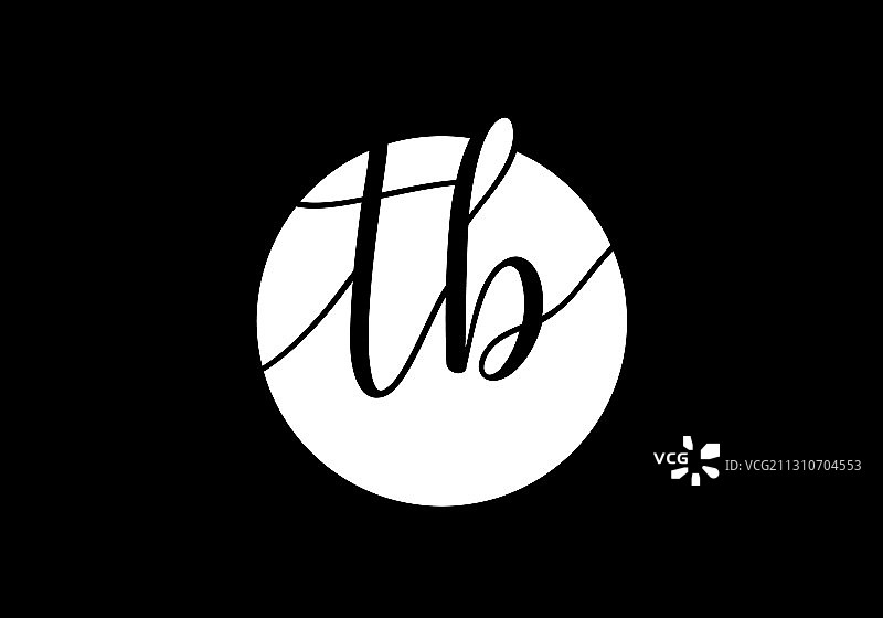 字母T和B首字母组合标志设计模板图片素材