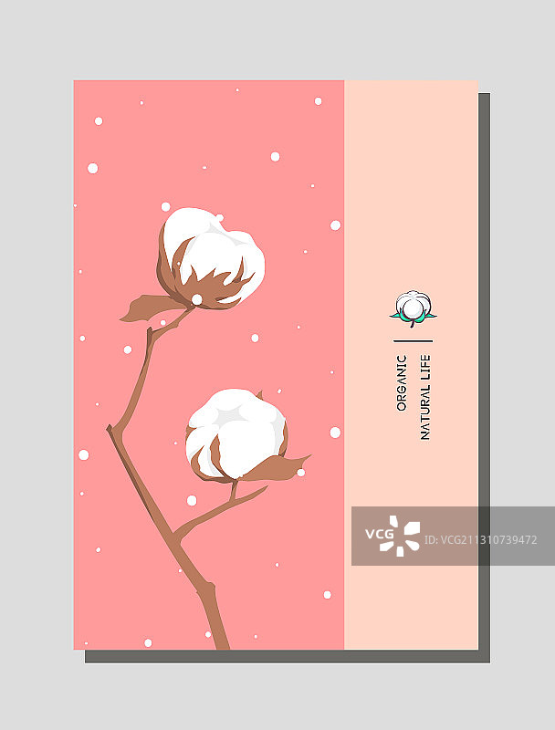 植物棉花的马卡龙色平面矢量海报素材图片素材