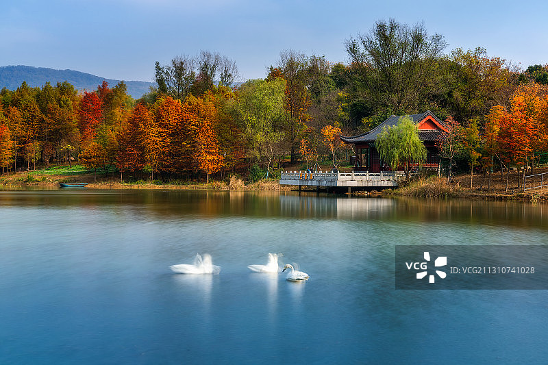 南京燕雀湖风光图片素材