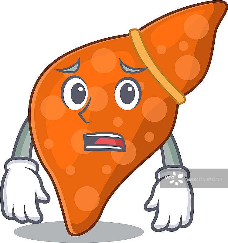 卡通风格人体肝脏图片素材