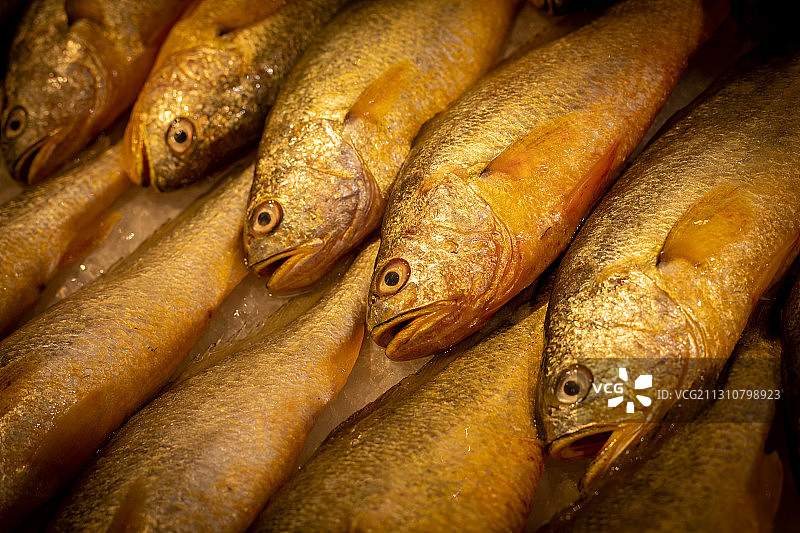 黄花鱼图片素材