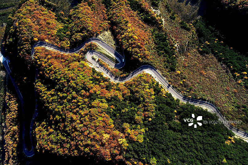 六盘山秋色图片素材