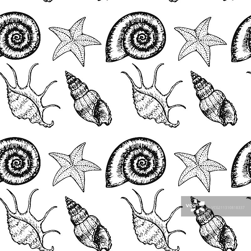 海洋动物素描无缝图案图片素材