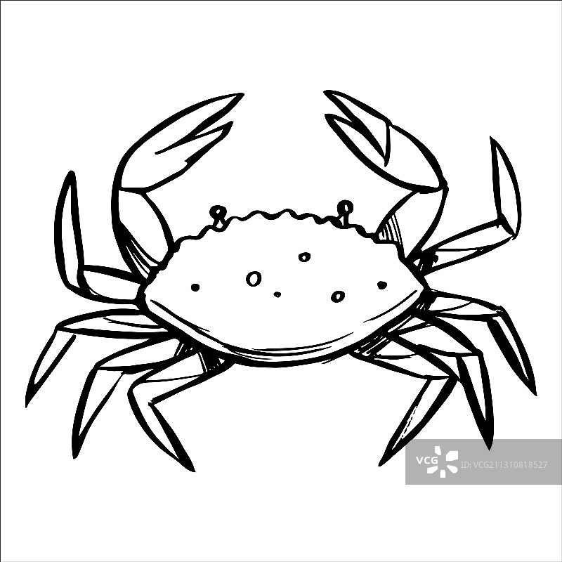 海洋螃蟹速写图片素材