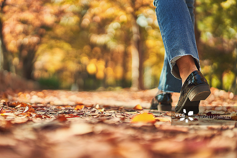 秋季首尔枫树路枫叶徒步图片素材