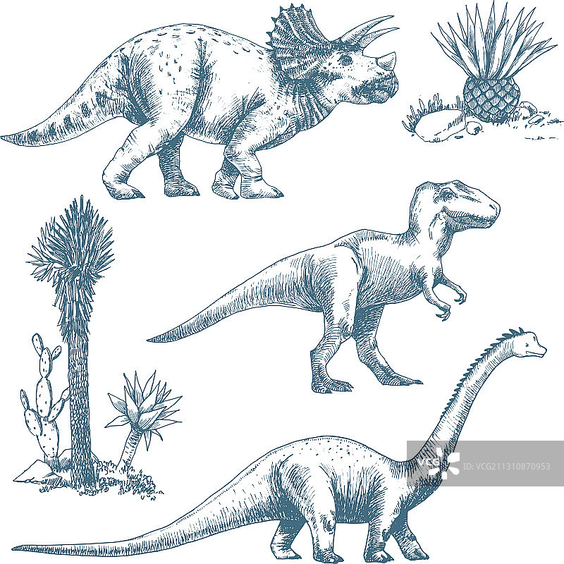 一套手绘苹果水果的美丽图案图片素材