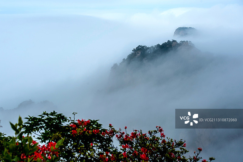 云雾花台图片素材