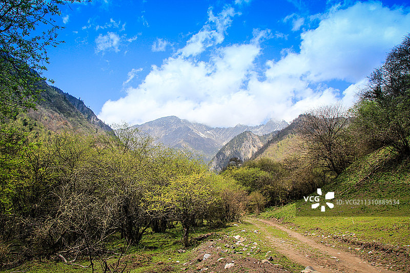 平武白马王朗自然生态环境图片素材