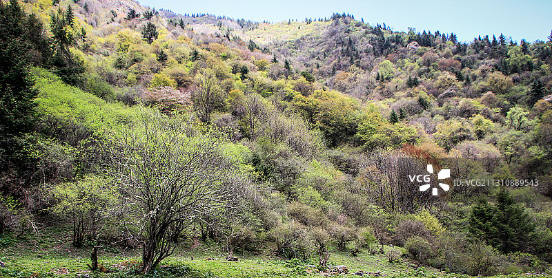 平武白马王朗自然生态环境图片素材