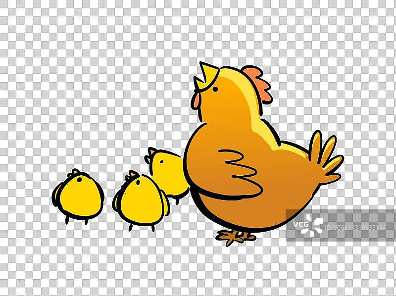 一群母鸡与小鸡图片素材