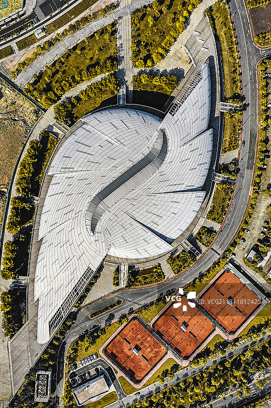 超大号海螺图片素材