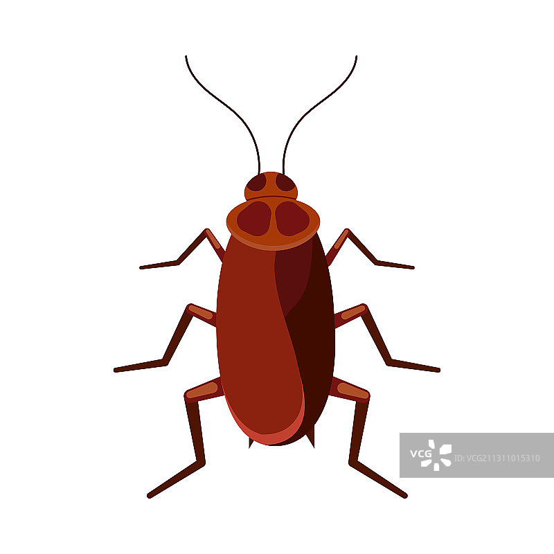 白色背景上的蟑螂图标图片素材