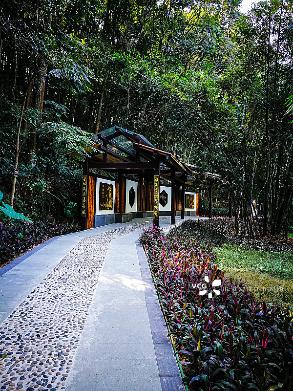 森林公园图片素材