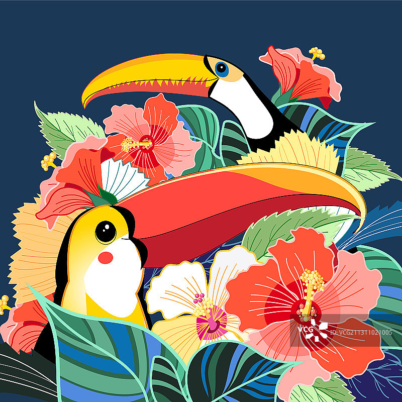 巨嘴鸟、天堂鸟和植物图片素材