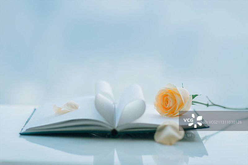 书和玫瑰图片素材