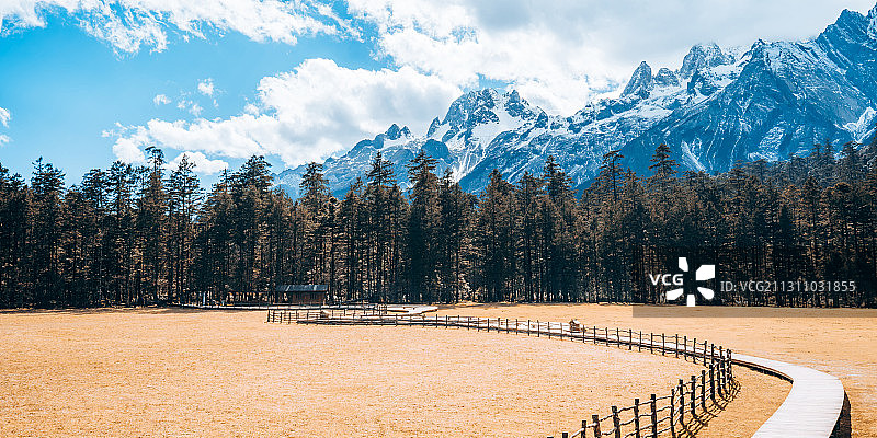 中国云南丽江云杉坪和玉龙雪山风光图片素材