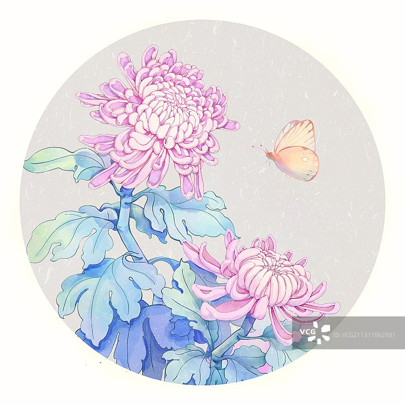 中国风水彩手绘菊花蝴蝶图片素材