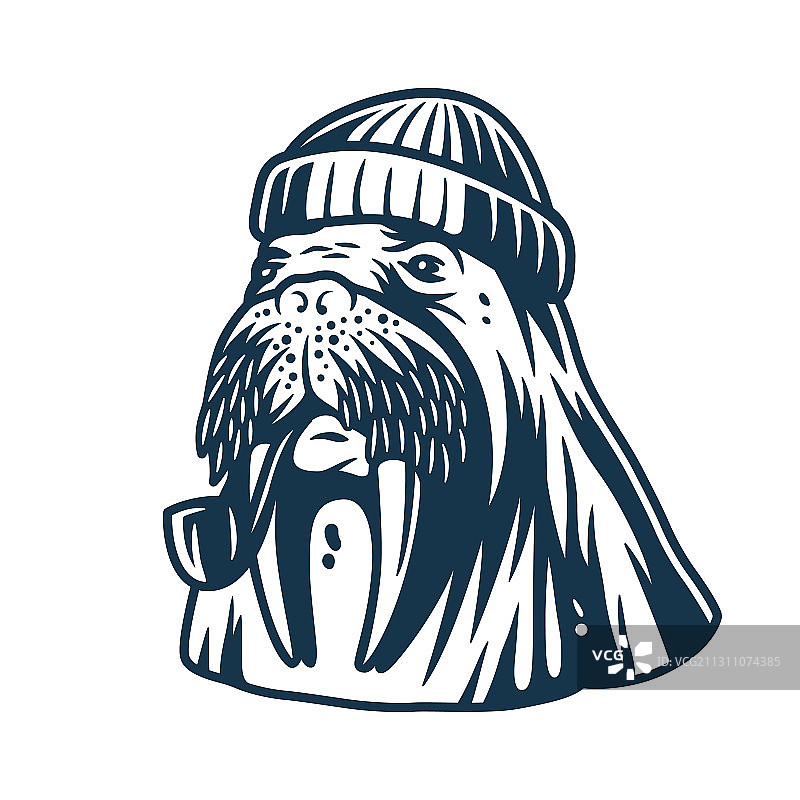 戴水手帽抽烟斗的海象图片素材