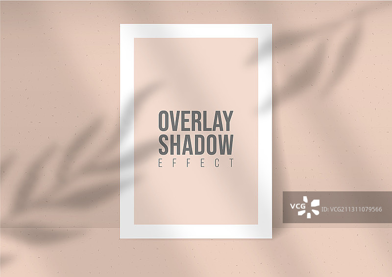 阴影叠加植物A4纸样机图片素材