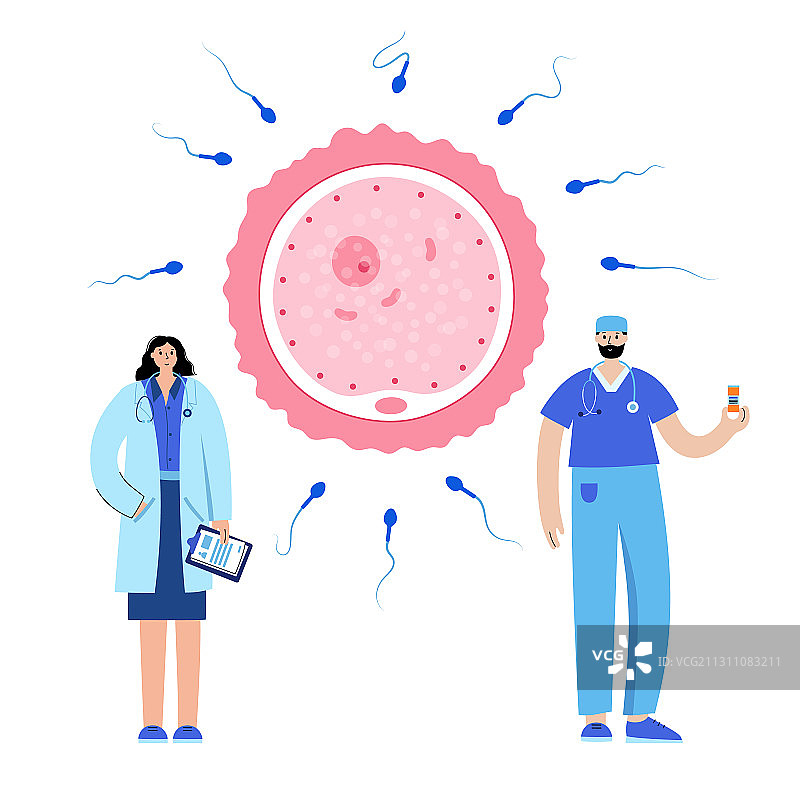 生殖系统概念图片素材