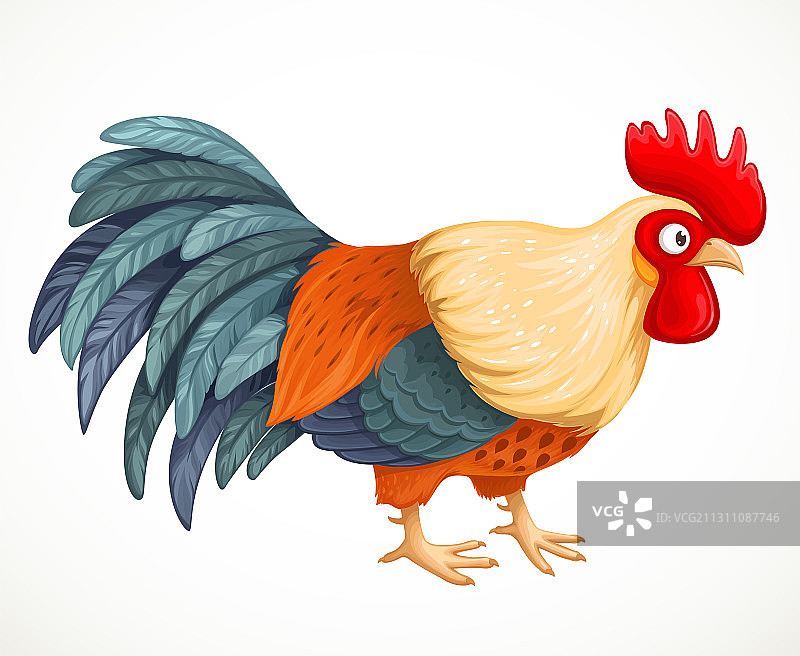 可爱的卡通公鸡农场动物图片素材