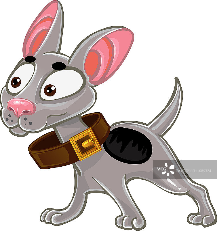 白色小狗图片素材