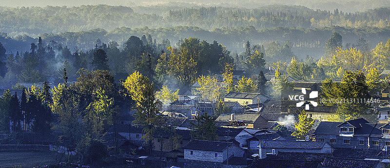 云南腾冲市银杏村图片素材