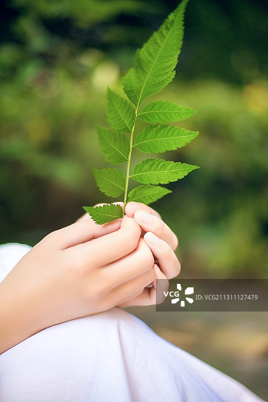 清新自然图片素材