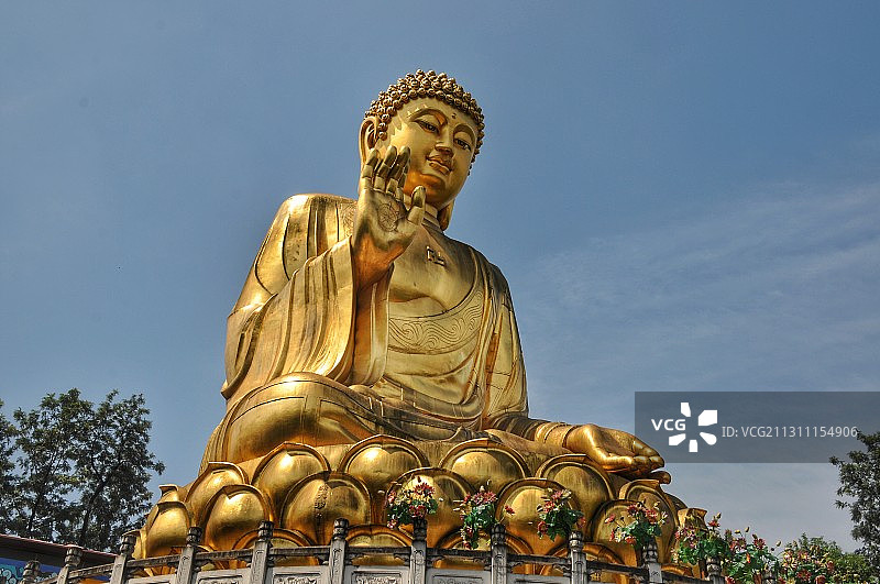 重庆华岩寺 夏日荷花图片素材