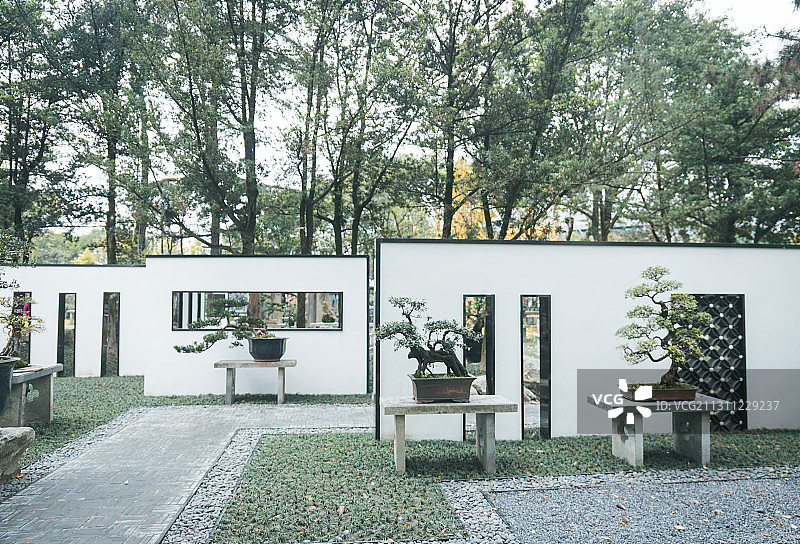 盆景园风光图片素材