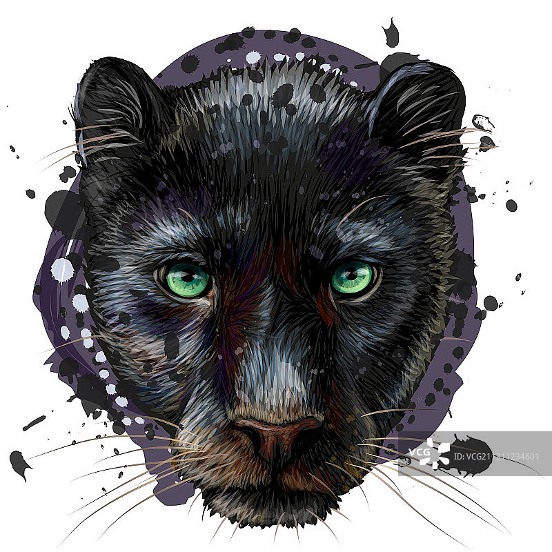 豹艺术风格彩色肖像图片素材