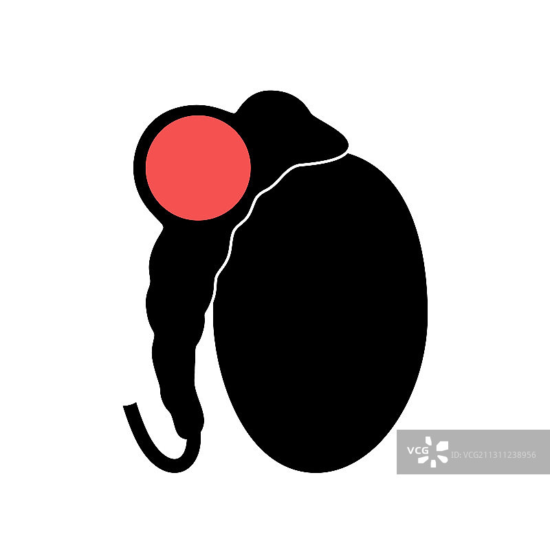 生殖系统概念图片素材