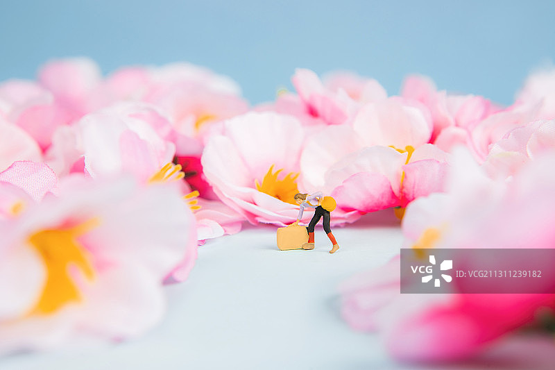 春天里外出旅游在花丛中休息的旅行者图片素材