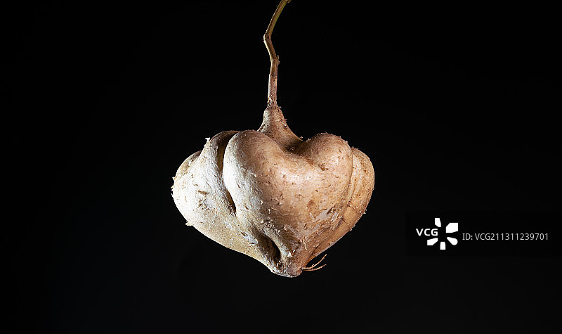 黑色背景跳动掉落慢动作棚拍白地瓜豆薯广告素材图片素材