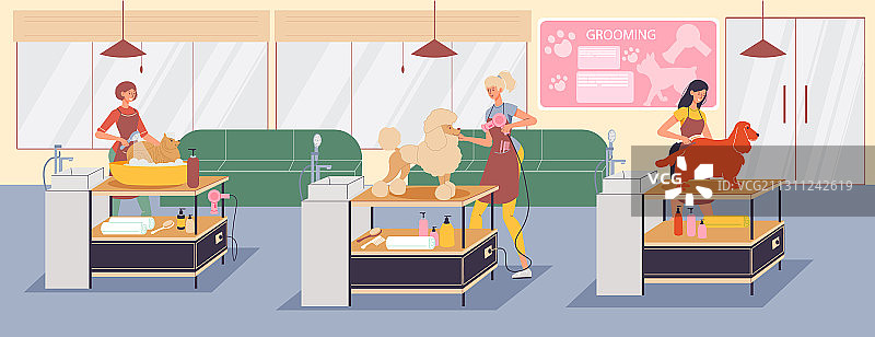 纯种宠物美容专业沙龙服务图片素材