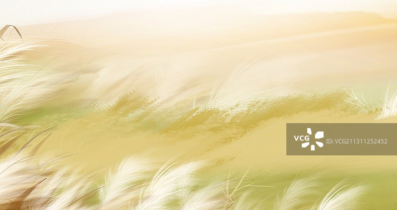 二十四节气大寒下着小雪的芦苇丛图片素材