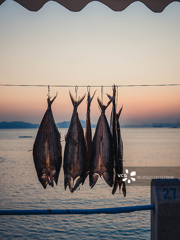 水产品图片素材