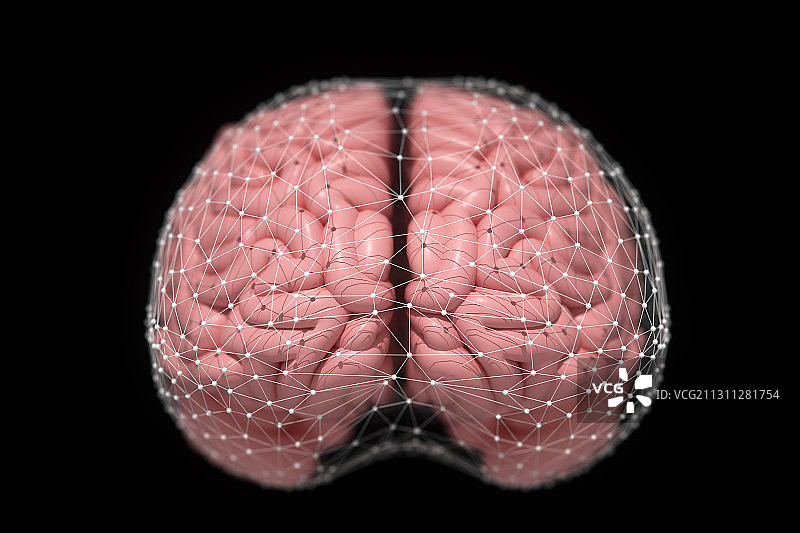 大脑，三维图形图片素材