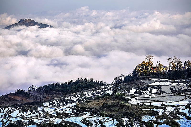 云海与梯田图片素材